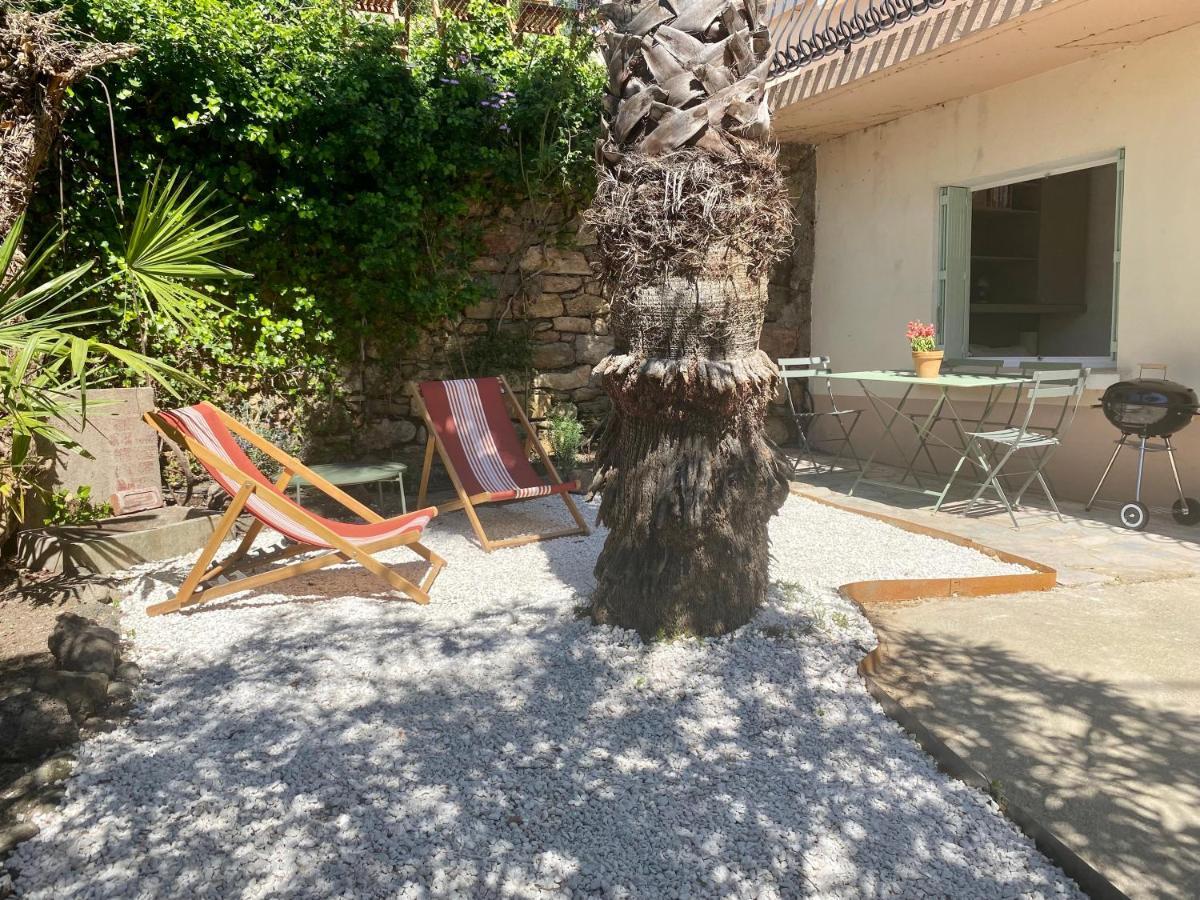Gite Le Palmier - Perfectly Located Cosy Studio With Private Garden Puissalicon Esterno foto