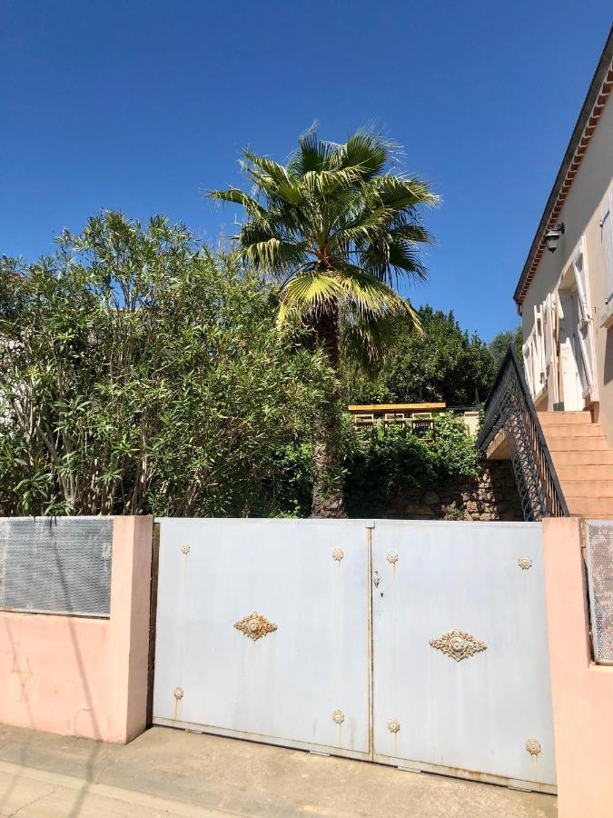Gite Le Palmier - Perfectly Located Cosy Studio With Private Garden Puissalicon Esterno foto