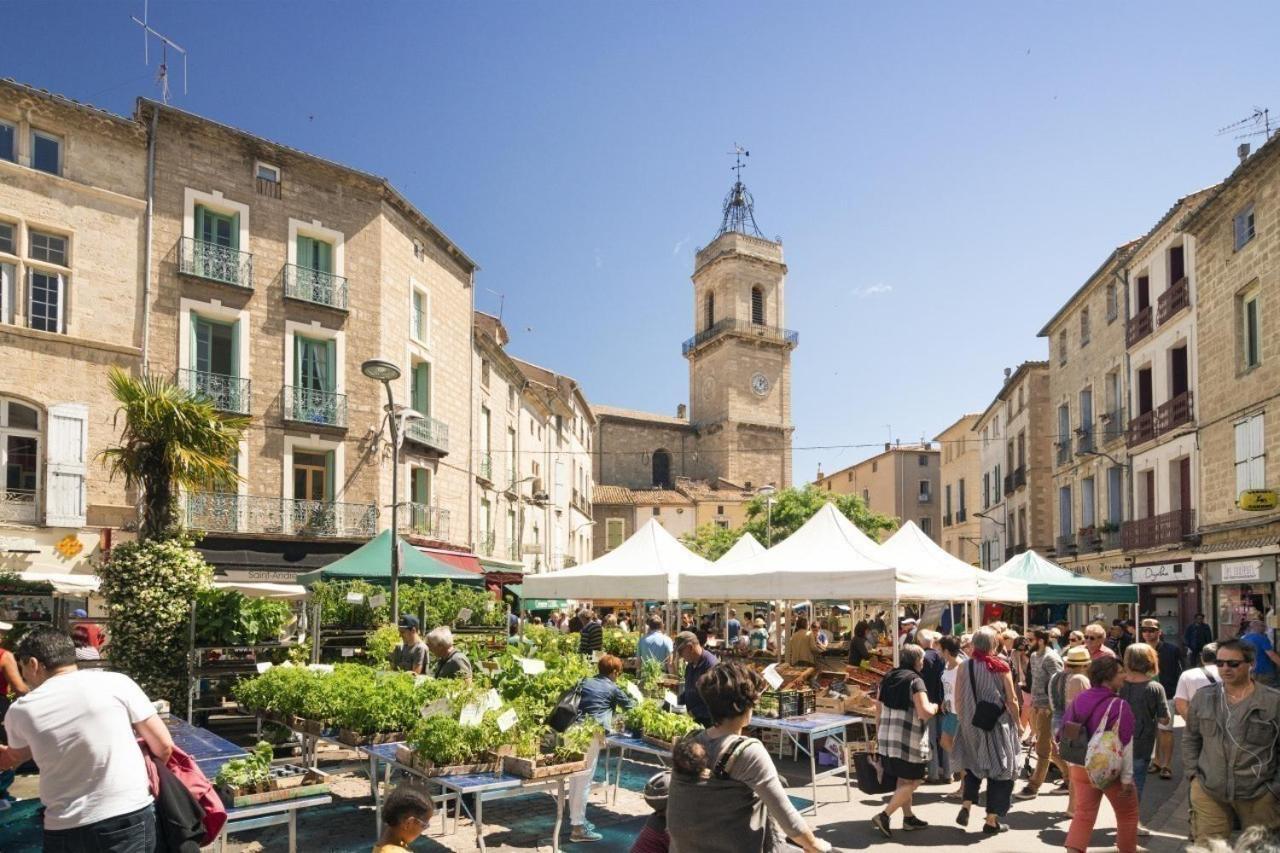 Gite Le Palmier - Perfectly Located Cosy Studio With Private Garden Puissalicon Esterno foto